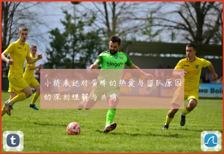 小桥表达对黄蜂的热爱与留队原因的深刻理解与共鸣