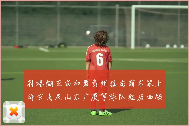 孙椿棚正式加盟贵州猛龙前东家上海玄鸟及山东广厦等球队经历回顾